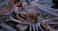 Aliens65 800x600.jpg (93 KB) Bishop dissecting a Facehugger.
