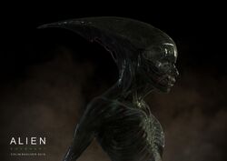 Coleção Alien & Predador: Neomorph - Edição 37