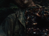 Drake (Game Preserve Planet)
