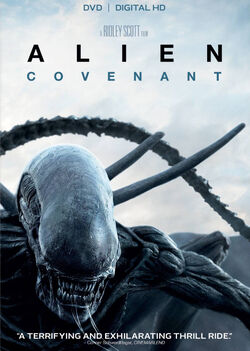 Covenant DVD