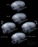 IMG 20170212 111325.jpg (82 KB)