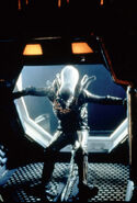 Behind the scenes still of the Alien.