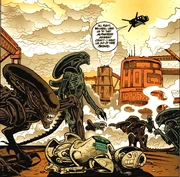 The shop steward's remains.