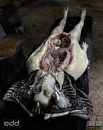 Jntpgc55k1r41.jpg (437 KB)