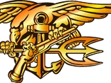 United States Navy SEALs