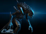 Alien Carved Head Warrior