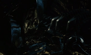 Bonegrill skinning a Xenomorph head.