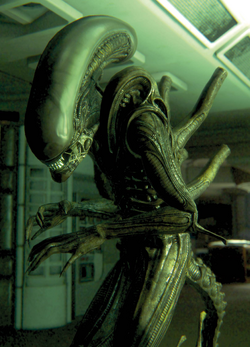Xenomorph drone caste