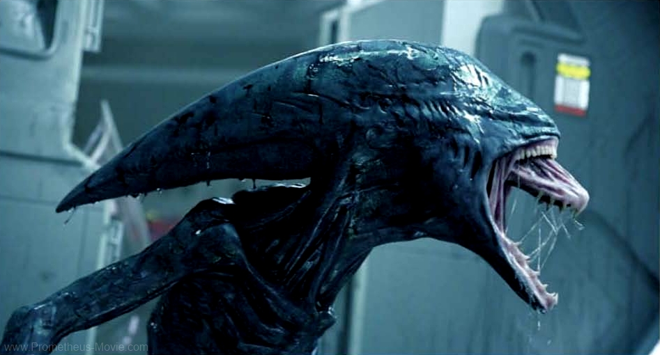 prometheus xenomorph