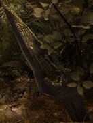 LogFlower03