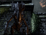 Praetorian