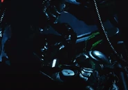 Wolf examines Bull's corpse.