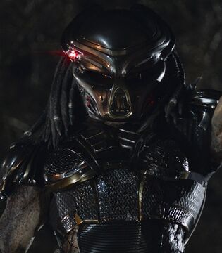 Predator 2018 rosas 2025