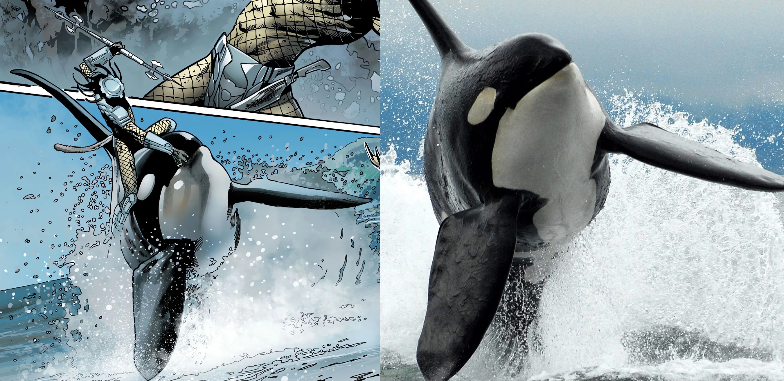 Whale | Xenopedia | Fandom