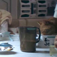 Jones eating.png (1 MB) Jones eating on the Nostromo from a dish adorned with his name, a drawing of a cat, and a Weyland-Yutani insignia.