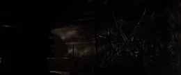 The Sewer Hive