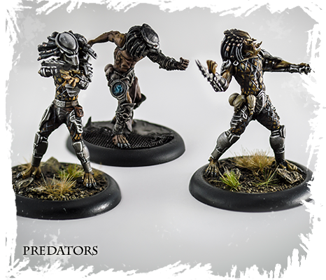 aliens vs predator the hunt begins aliens vs predator the hunt begins