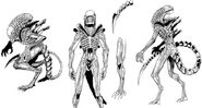 Vampirella-Aliens-xenomorph-inkeditedWeb-d783a