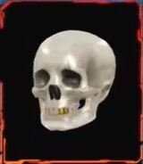 Vinny's skull in Scarface's trophy cabinet.