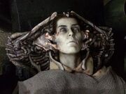 Xalien-covenant-set-shaw jpg pagespeed ic GZjd8BMjRJ