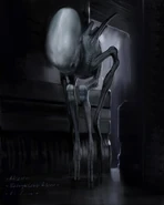 Babyheadca.jpg (70 KB) The adult Babyhead.