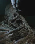 The Pilot.jpg (31 KB) The Pilot