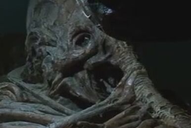 Jockey-Xenomorph | Xenopedia | Fandom