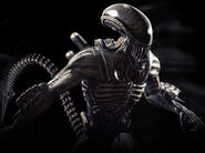 Alien MKX