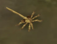 Facehugger by sl 8426-d92so4y.png (64 KB) A Facehugger in Aliens versus Predator: Extinction