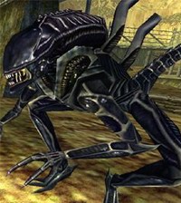 Aliens vs. Predator multiplayer skins, Xenopedia