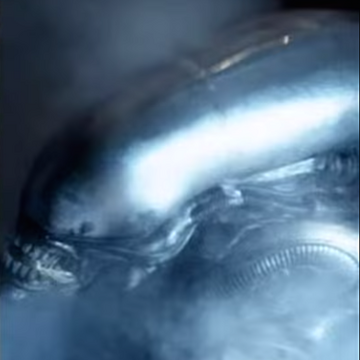 The Alien Xenomorph Xenopedia Fandom