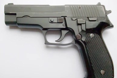 SIG-Sauer P226 | Taken Wiki | Fandom