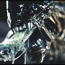 Inner Jaw Xenopedia Fandom An alien without a mouth. inner jaw xenopedia fandom