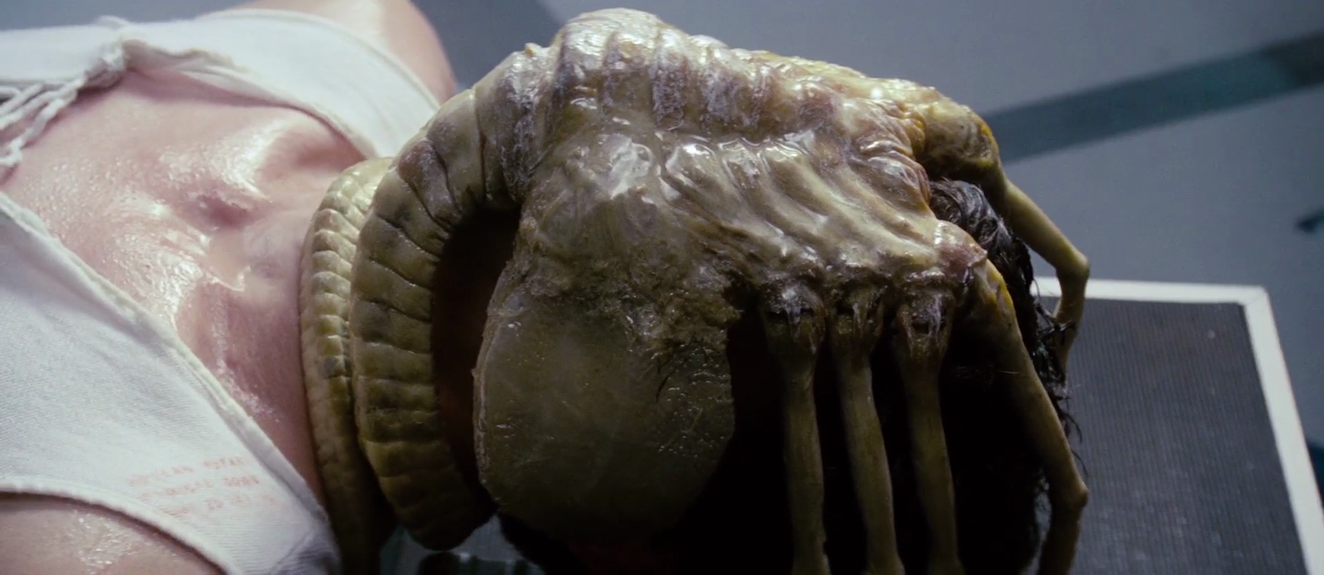 female facehugger