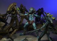 The Hive Wars Predator battling a group of Xenomorphs.