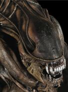 One of the original costumes from Aliens which was sold at an auction.[18]