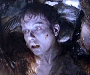A colonist on Acheron cocooned in the hive, moments before birthing a chestburster