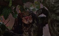 Predator 1987 Final Fight