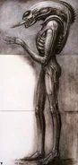 Giger002.jpg (185 KB)