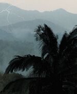 WelcomeToTheJungle