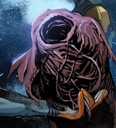 An egg or spore casing.