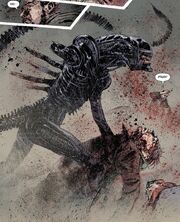ADTDXeno3