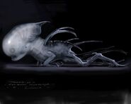 Concept art of the Neomorph bloodburster. Notice the resemblance to previous concept art of the Babyhead, also by Huante.