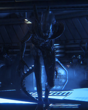 Alien Isolation Larger
