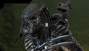 Hunter- from Aliens Vs. Predator 2010- was based off of Celtic.