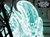 Irradiated Xenomorph