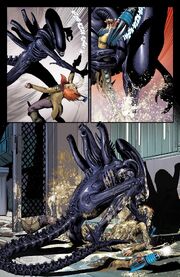 AVPTTBXeno
