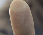 The Weyland-stamped fingerprint of authenticity.