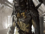 Body Armor (Predator)