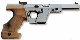 Walther GSP
